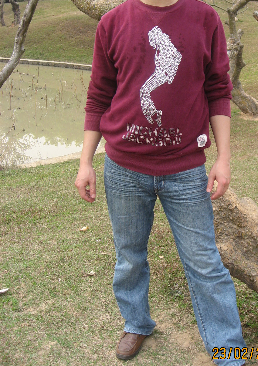 Rhinestone transfer, Rhinestone motif, Hot fix motif, Iron on motif, pearl Application